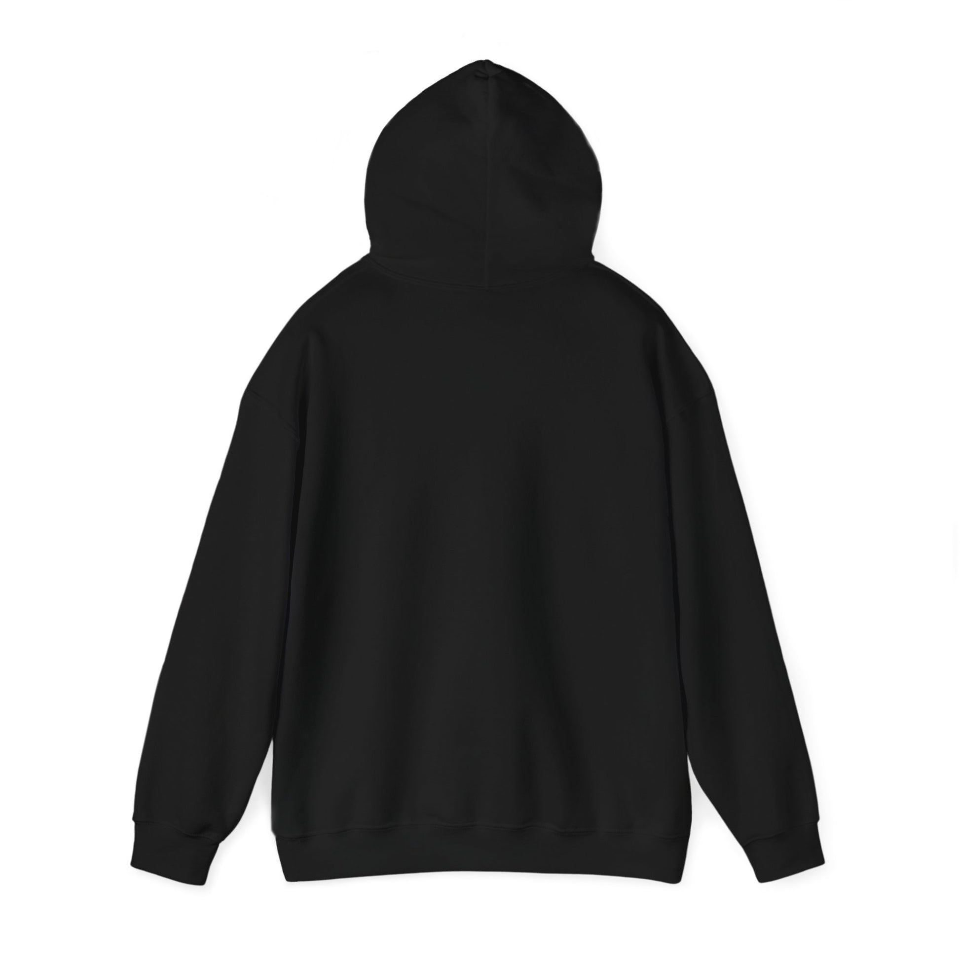 Game On Hooded Sweatshirt Black Back